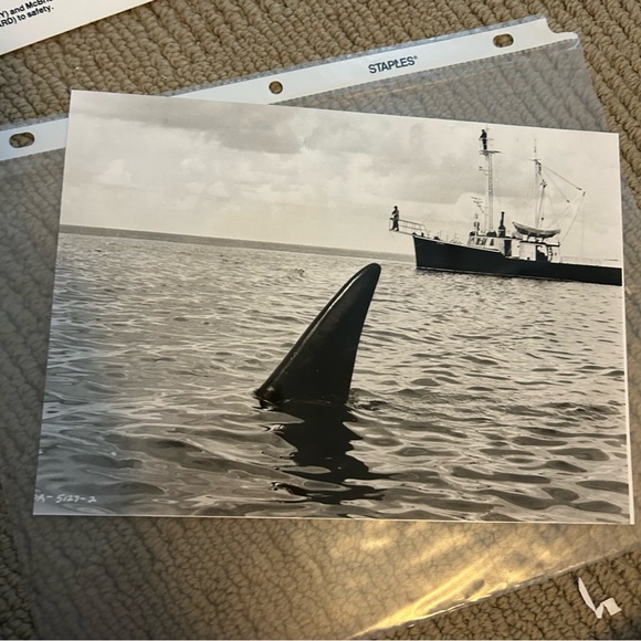 Great Collection of Press Movie Stills - Bundle of 5 - Picture 12 of 15